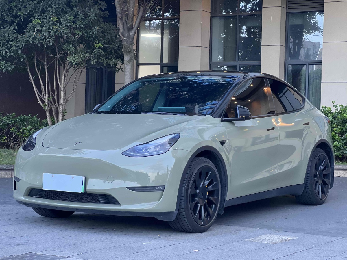 特斯拉 Model Y  2021款 改款 標(biāo)準(zhǔn)續(xù)航后驅(qū)升級(jí)版圖片