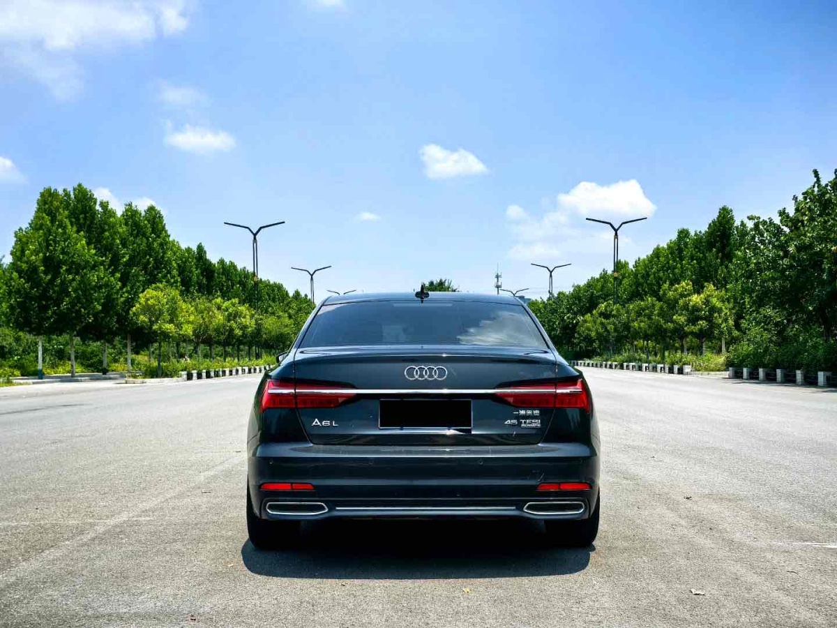 奧迪 奧迪A6L  2020款 45 TFSI 臻選致雅型圖片