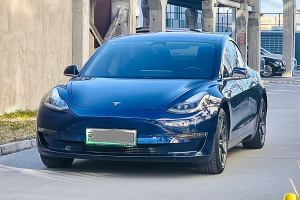 Model 3 特斯拉 长续航全轮驱动版