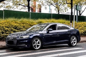 奧迪A5 奧迪 Sportback 40 TFSI 時(shí)尚型