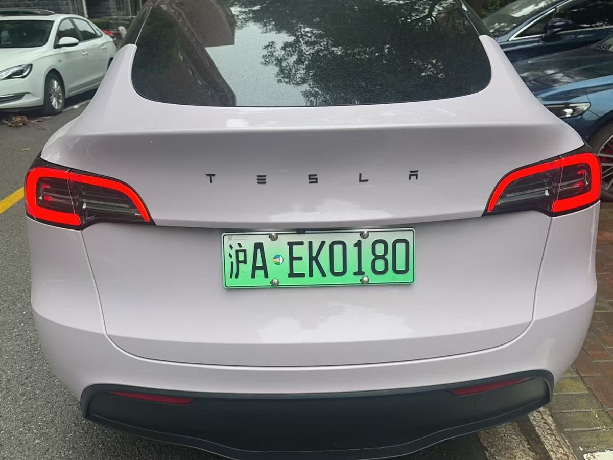 特斯拉 Model 3  2020款 改款 長(zhǎng)續(xù)航后輪驅(qū)動(dòng)版圖片