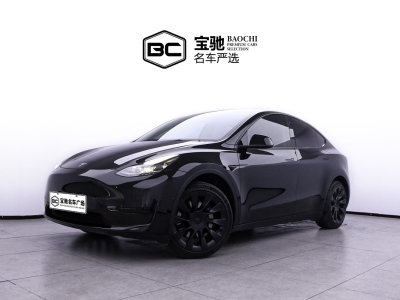 2022年2月 特斯拉 Model Y 2022款 后輪驅(qū)動版圖片