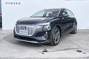 奧迪Q5 e-tron 奧迪 40 e-tron 星耀型 錦衣套裝