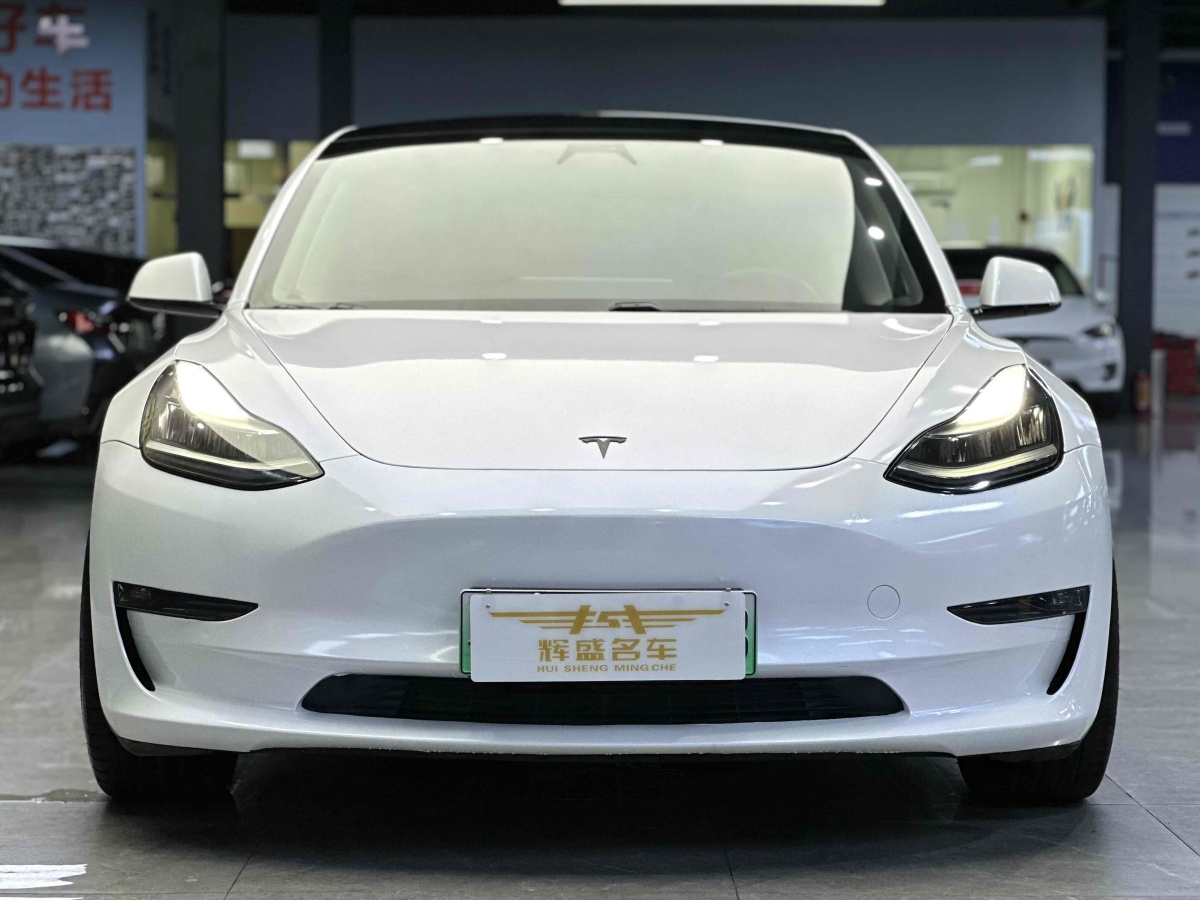 特斯拉 Model 3  2019款 長(zhǎng)續(xù)航后驅(qū)版圖片