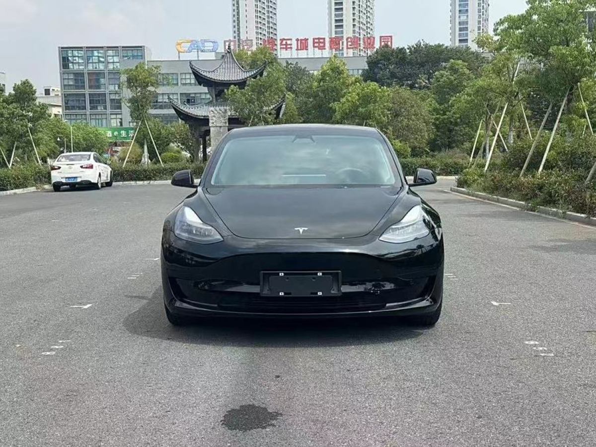 特斯拉 Model Y  2021款 改款 標(biāo)準(zhǔn)續(xù)航后驅(qū)升級(jí)版圖片