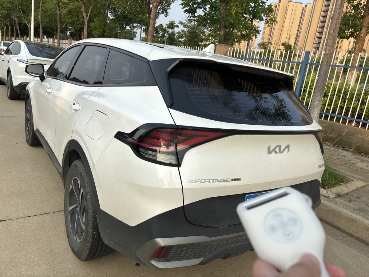 起亞 獅鉑拓界  2023款 2.0L HEV 兩驅(qū)尊貴版圖片