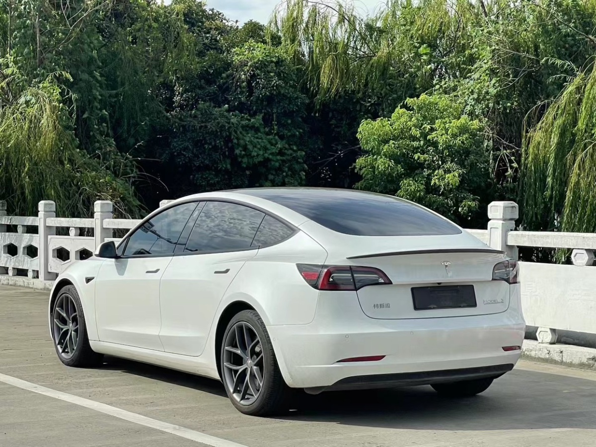 特斯拉 Model Y  2021款 Performance高性能全輪驅(qū)動版 3D6圖片