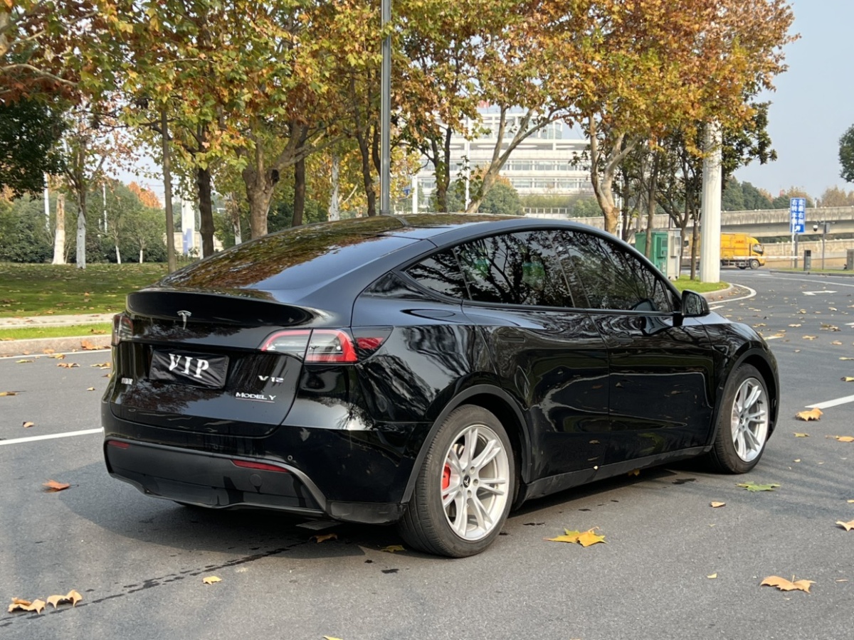 特斯拉 Model Y  2021款 標(biāo)準(zhǔn)續(xù)航后驅(qū)版圖片