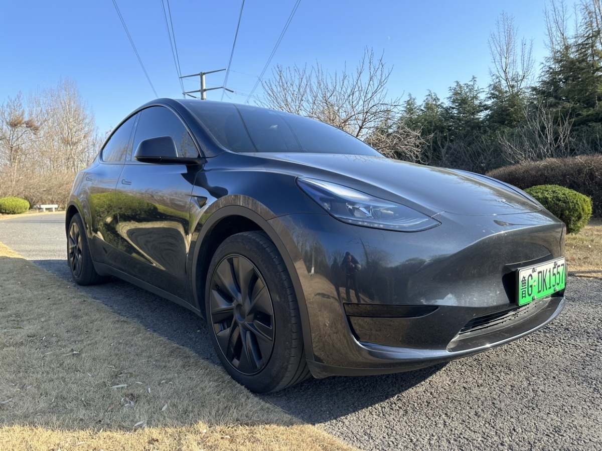 特斯拉 Model Y  2024款 后輪驅動版圖片