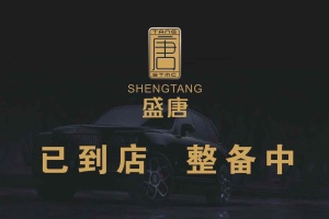 奥迪A5 奥迪 Sportback 40 TFSI 时尚动感型