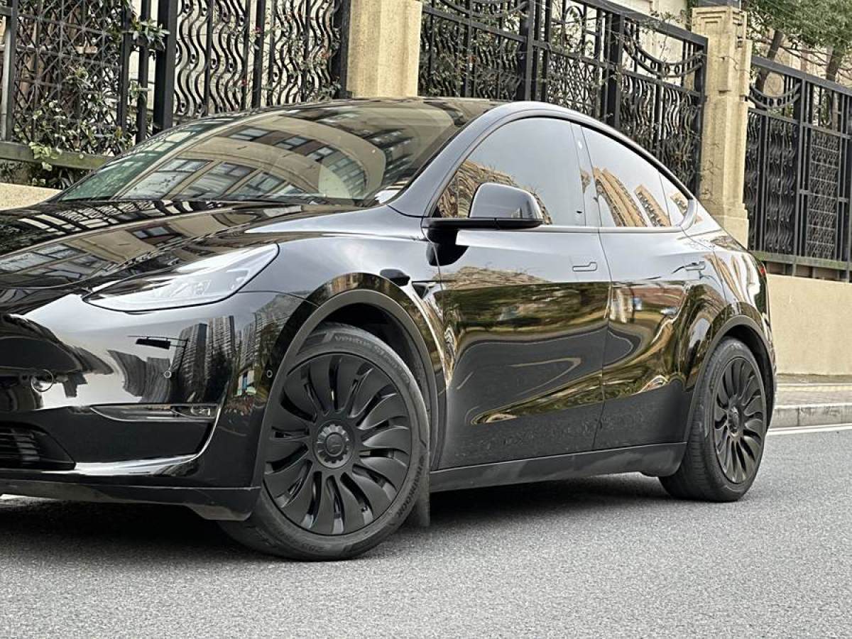 特斯拉 Model Y  2021款 改款 長續(xù)航全輪驅(qū)動版圖片