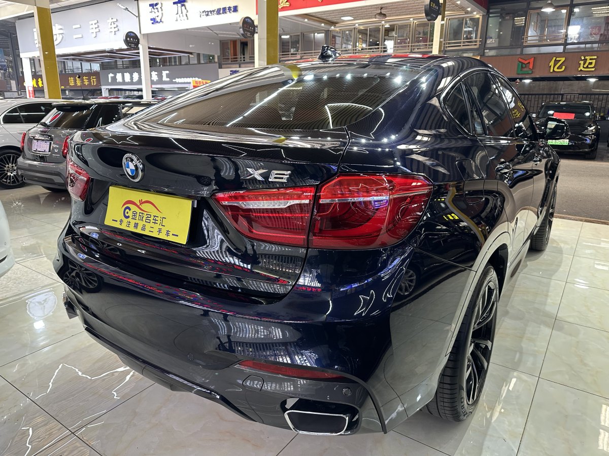 寶馬 寶馬X6  2018款 xDrive35i 領(lǐng)先型圖片