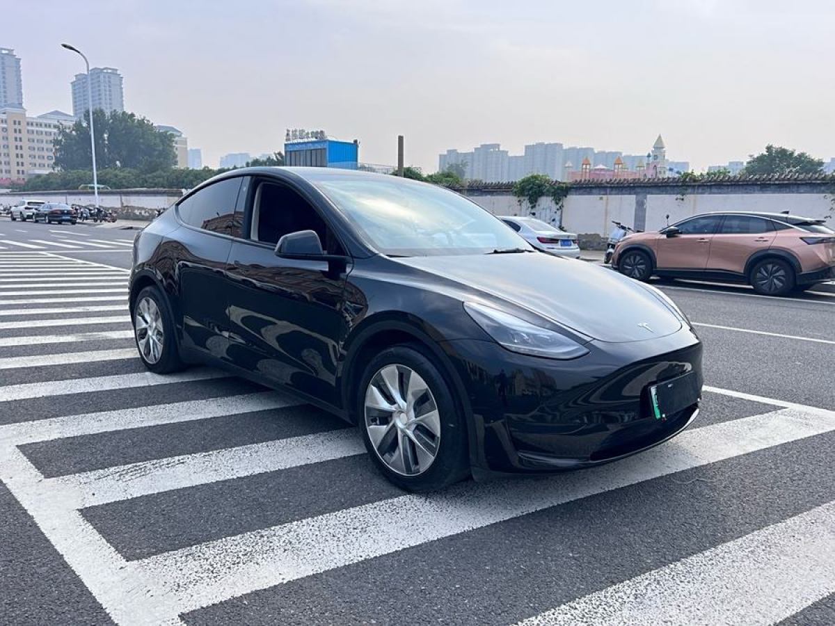 2023年6月特斯拉 Model Y  2022款 后輪驅(qū)動版