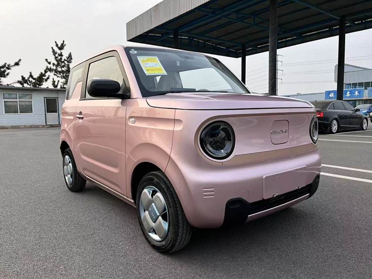 吉利 熊貓mini  2023款 200km 耐力熊圖片