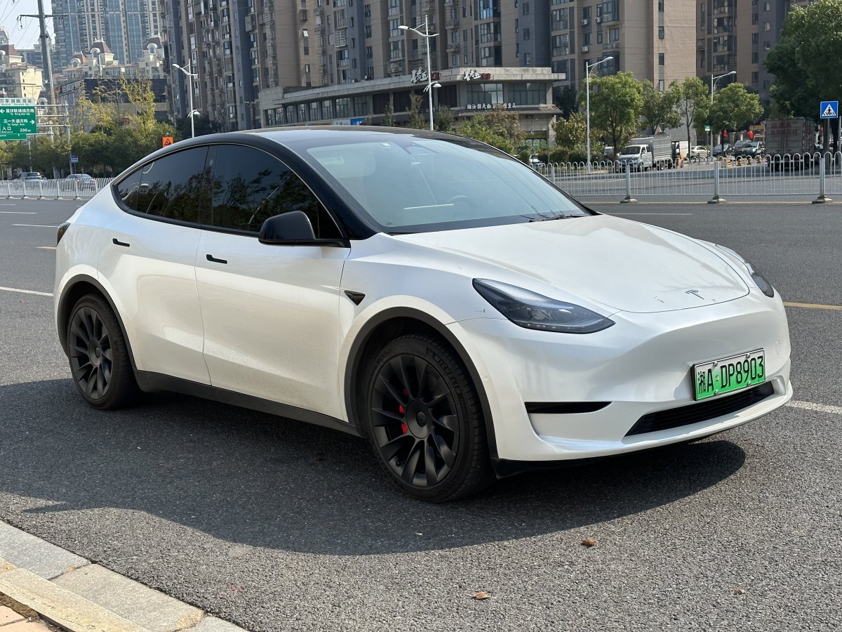 2023年8月特斯拉 Model Y  2020款 改款 長續(xù)航后輪驅動版