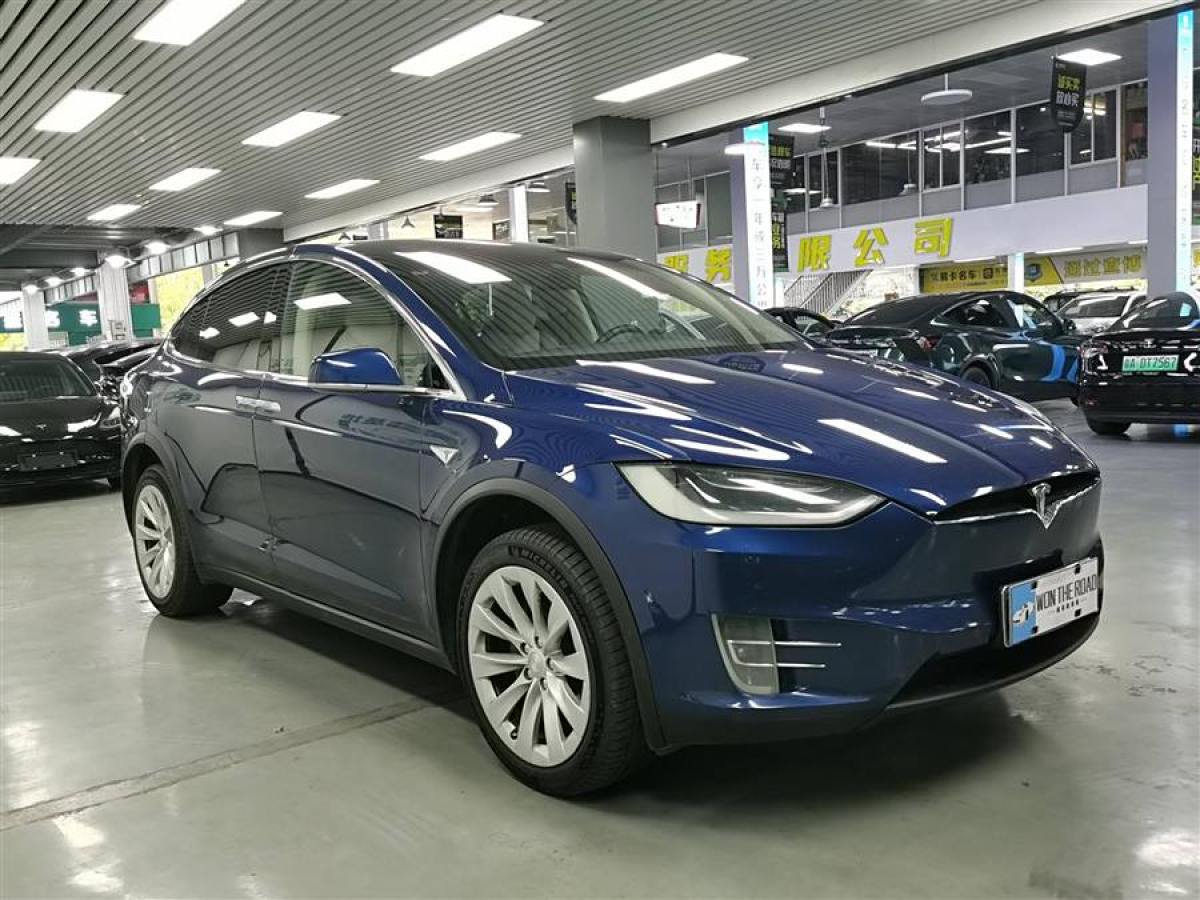 2016年10月特斯拉 Model X  2016款 Model X 90D