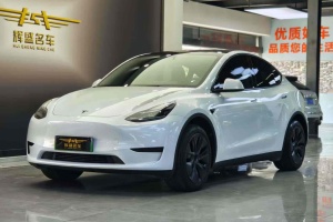 Model Y 特斯拉 后輪驅(qū)動(dòng)版