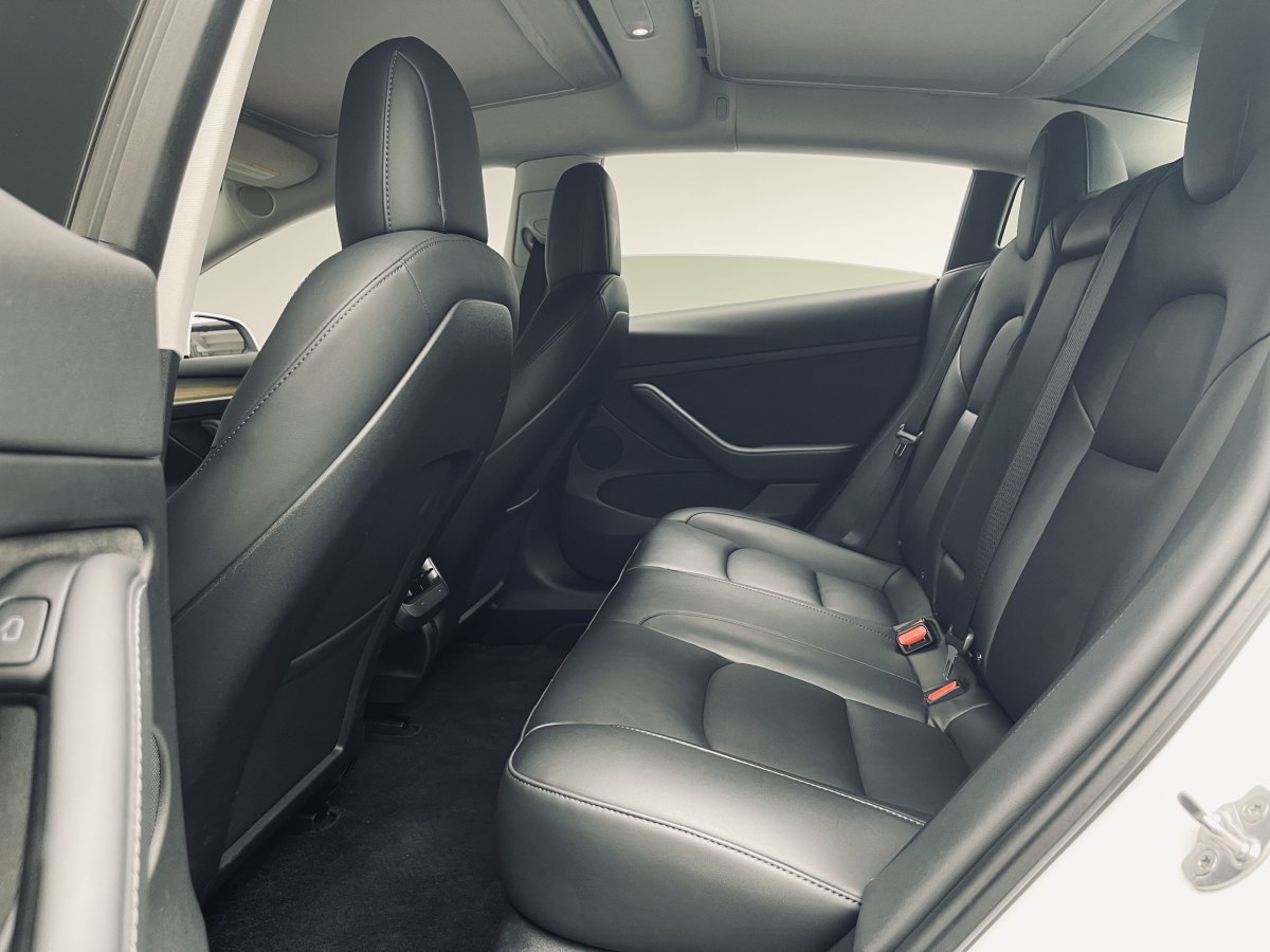 特斯拉 Model 3  2021款 改款 標(biāo)準(zhǔn)續(xù)航后驅(qū)升級版圖片
