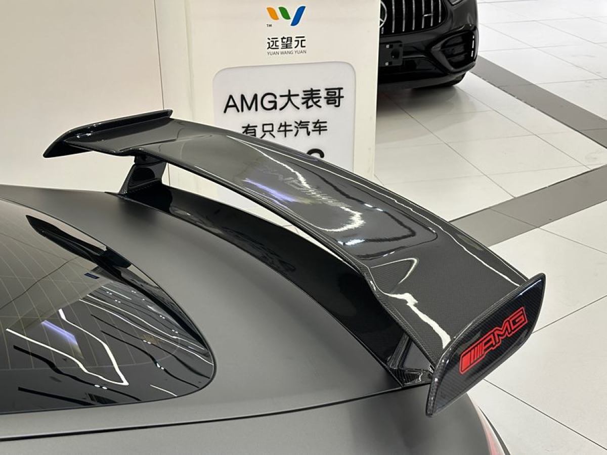 奔馳 奔馳AMG GT  2019款 AMG GT圖片