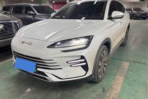 宋PLUS新能源 比亚迪 荣耀版 DM-i 110km 旗舰型