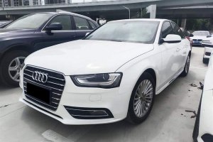 奧迪A4L 奧迪 35 TFSI 典藏版 自動(dòng)標(biāo)準(zhǔn)型