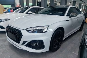 奧迪A5 奧迪 Sportback 40 TFSI 時(shí)尚動(dòng)感型