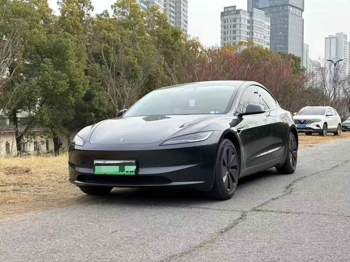 特斯拉 Model Y  2024款 Performance高性能版圖片