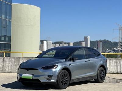 2017年10月 特斯拉 Model X Model X 90D圖片