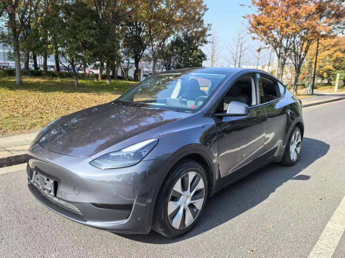 特斯拉 Model 3  2022款 Performance高性能全輪驅(qū)動版圖片