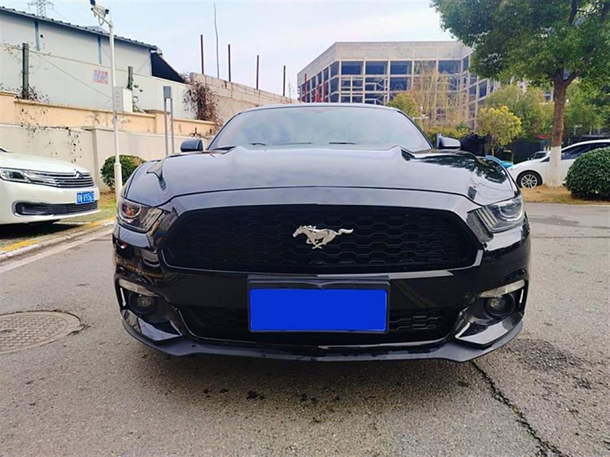 福特 Mustang  2015款 2.3T 性能版圖片