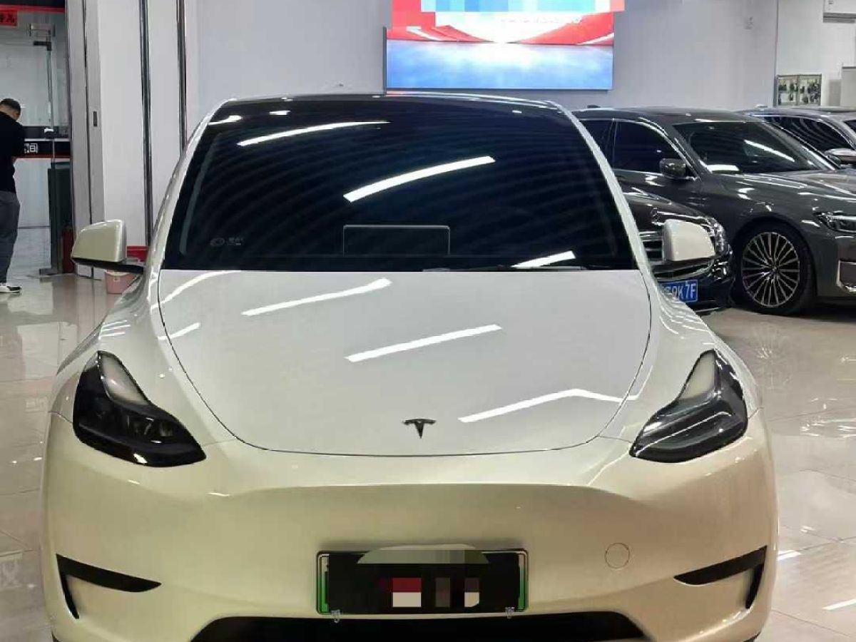 特斯拉 Model Y  2024款 Performance高性能版圖片
