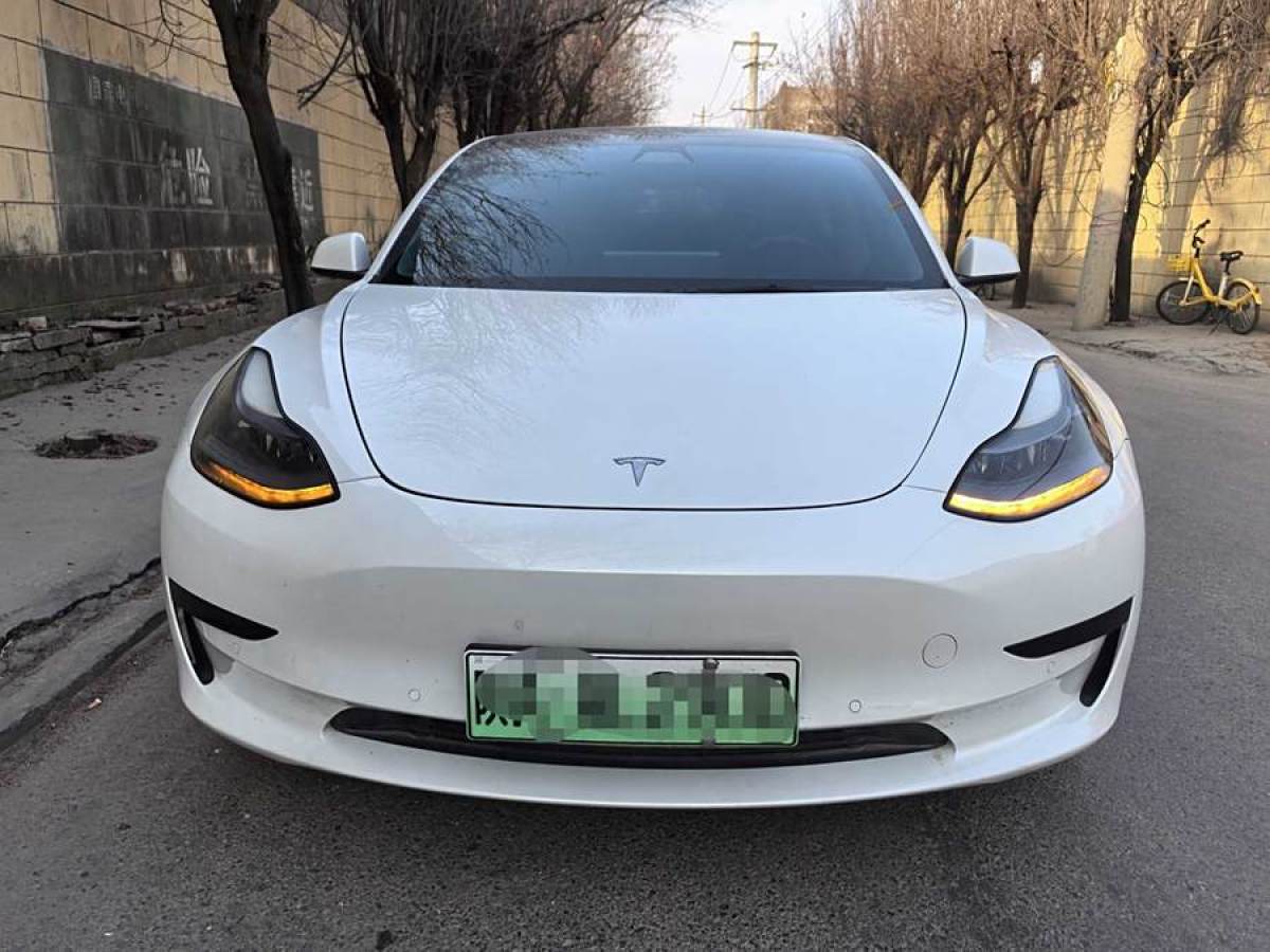 特斯拉 Model 3  2021款 改款 標(biāo)準(zhǔn)續(xù)航后驅(qū)升級(jí)版圖片