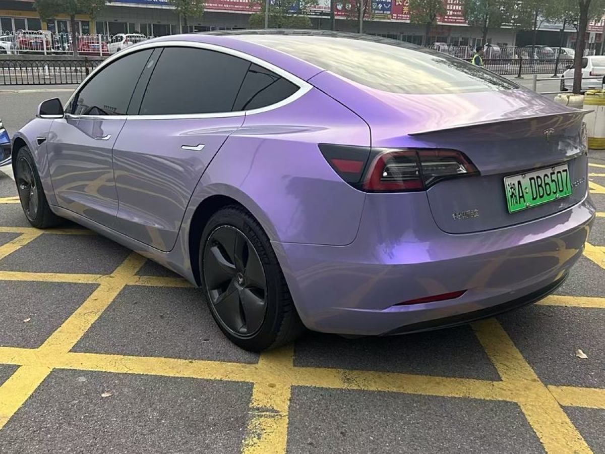 特斯拉 Model 3  2019款 標(biāo)準(zhǔn)續(xù)航后驅(qū)升級(jí)版圖片