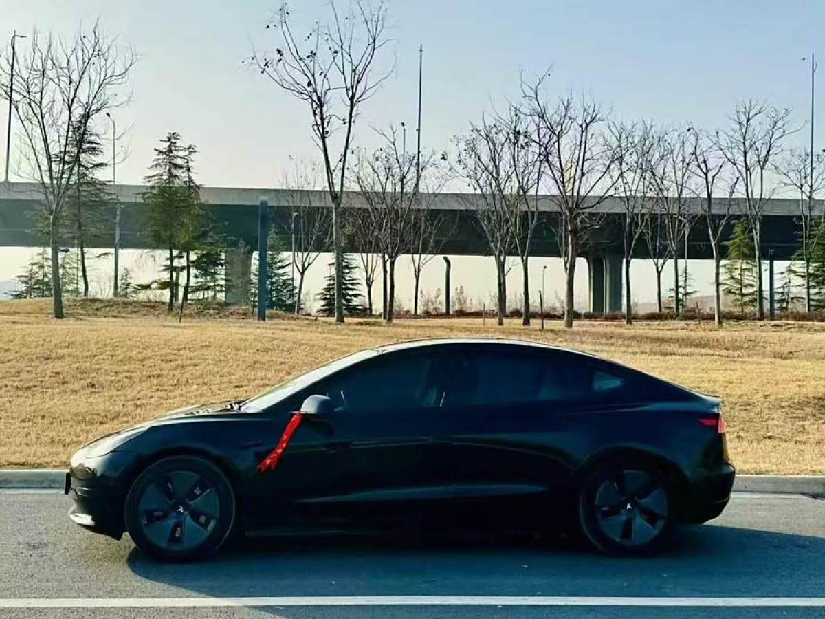 特斯拉 Model 3  2019款 標(biāo)準(zhǔn)續(xù)航后驅(qū)升級(jí)版圖片