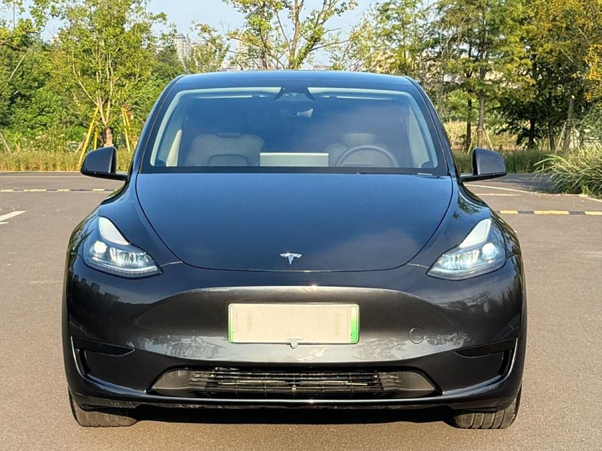 特斯拉 Model 3  2020款 改款 長(zhǎng)續(xù)航后輪驅(qū)動(dòng)版圖片