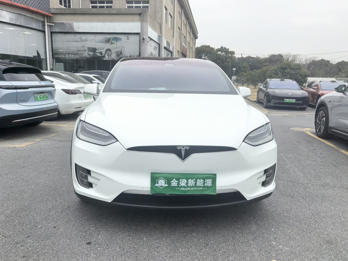 特斯拉 Model X  2019款 長續(xù)航版圖片