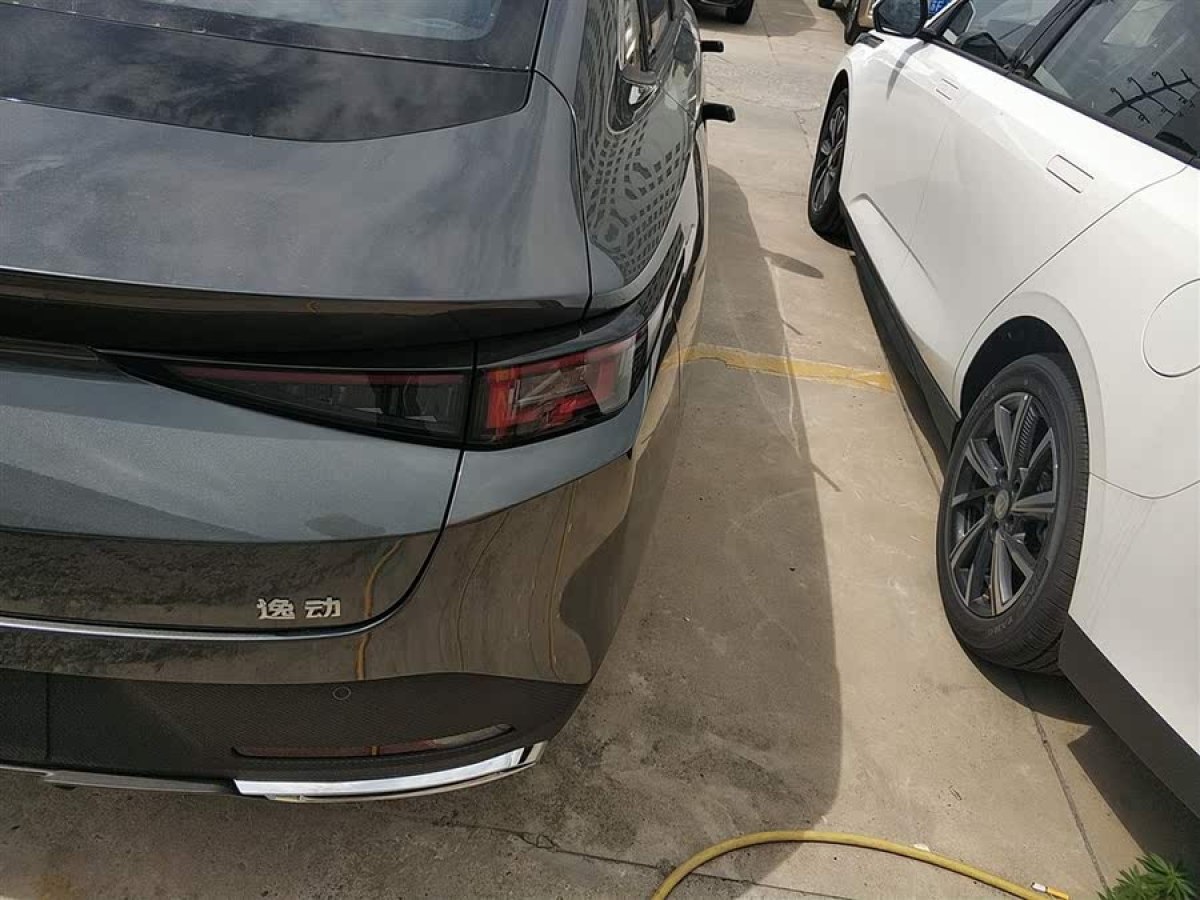 長(zhǎng)安 逸動(dòng)  2024款 1.5T GDI自動(dòng) 尊貴型圖片