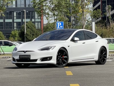 2016年7月 特斯拉 Model S Model S P90D图片