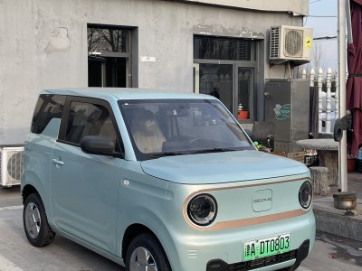 2024年12月 吉利 熊貓mini 200km 耐力熊圖片