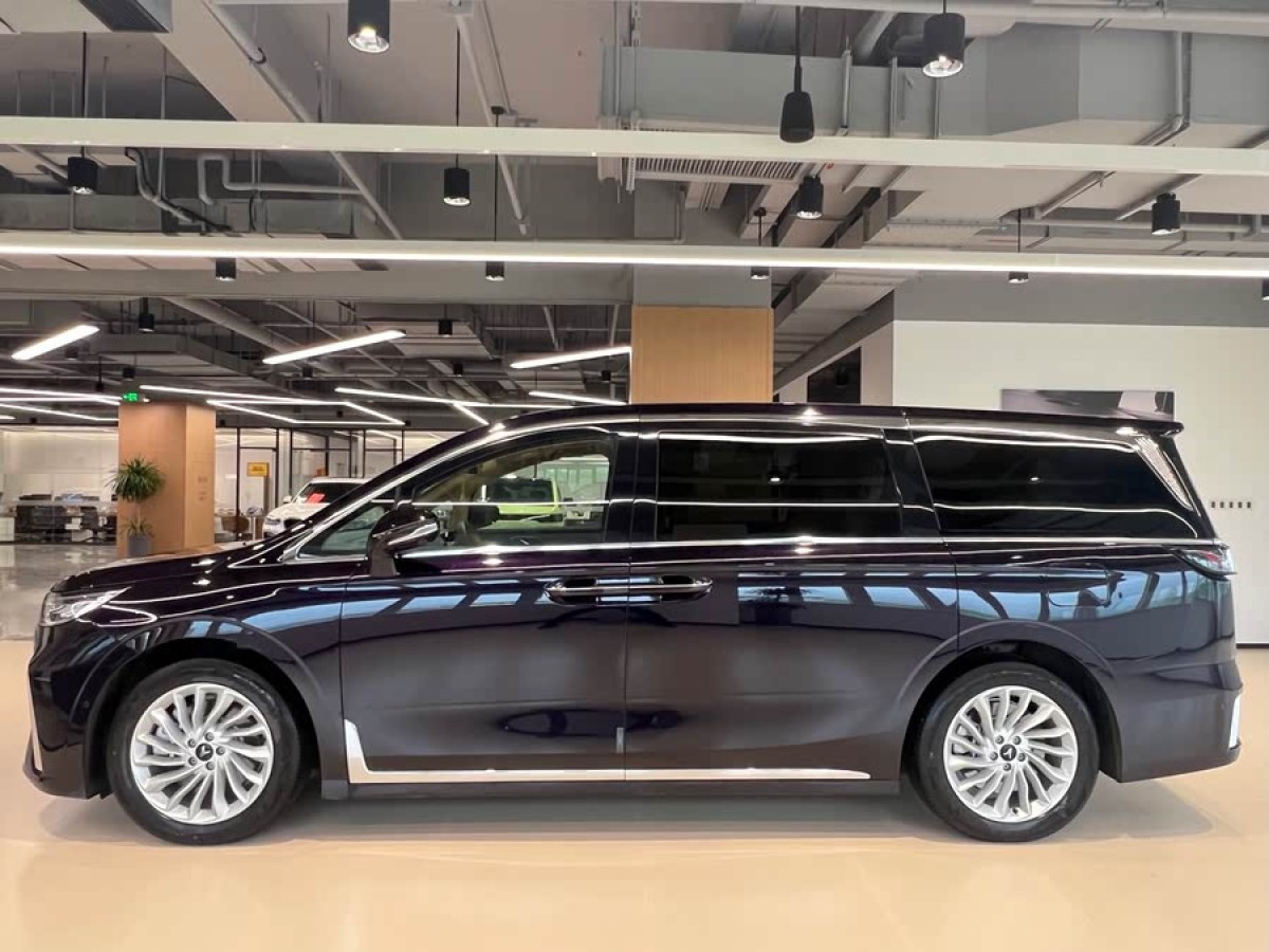 嵐圖 夢想家  2024款 PHEV 超長續(xù)航尊貴版圖片