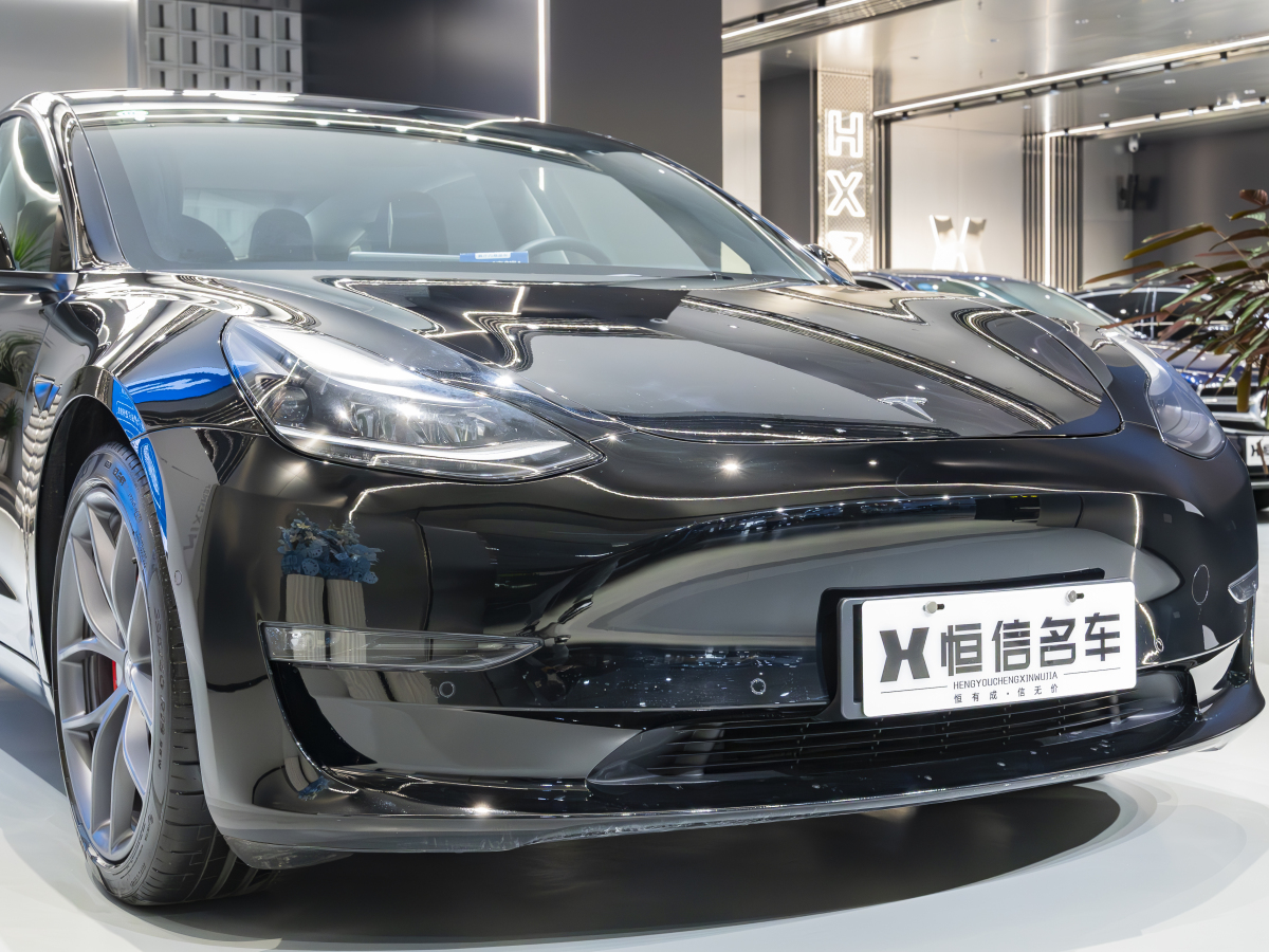 特斯拉 Model 3  2019款 Performance高性能全輪驅(qū)動(dòng)版圖片