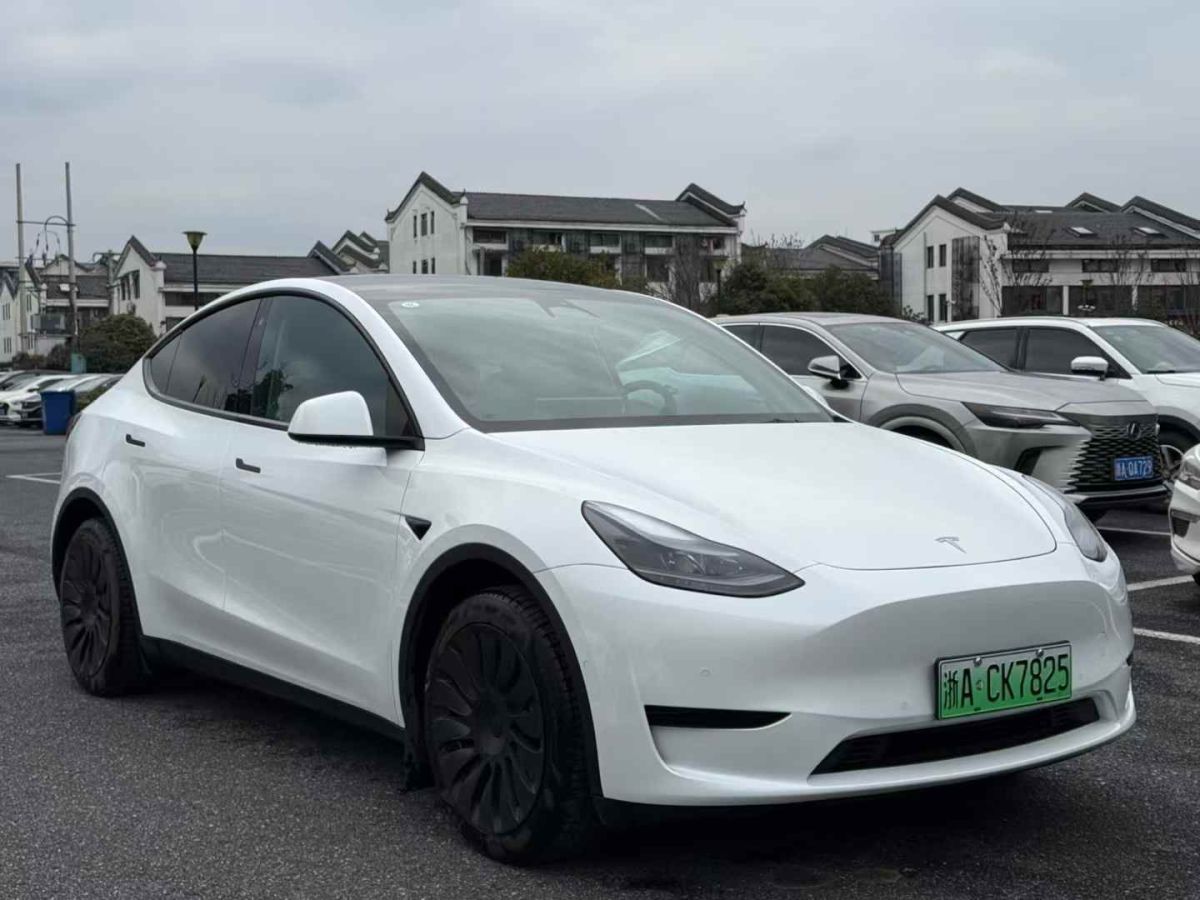 特斯拉 Model S  2023款 三電機(jī)全輪驅(qū)動(dòng) Plaid版圖片