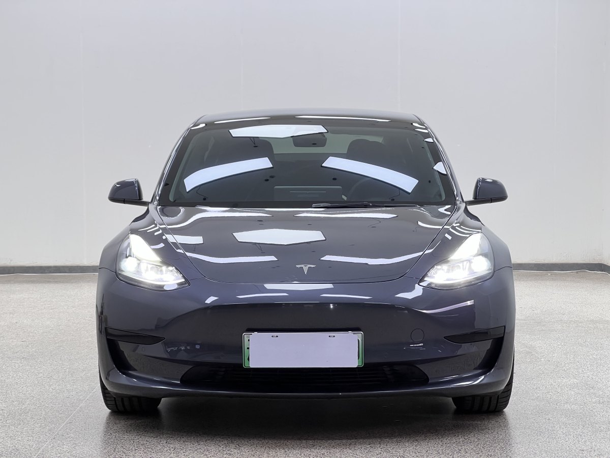 特斯拉 Model 3  2021款 標(biāo)準(zhǔn)續(xù)航后驅(qū)升級(jí)版 3D6圖片