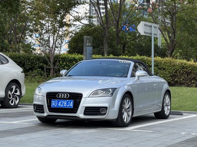 2013年2月 奧迪 奧迪TT(進(jìn)口) TT Roadster 2.0TFSI圖片