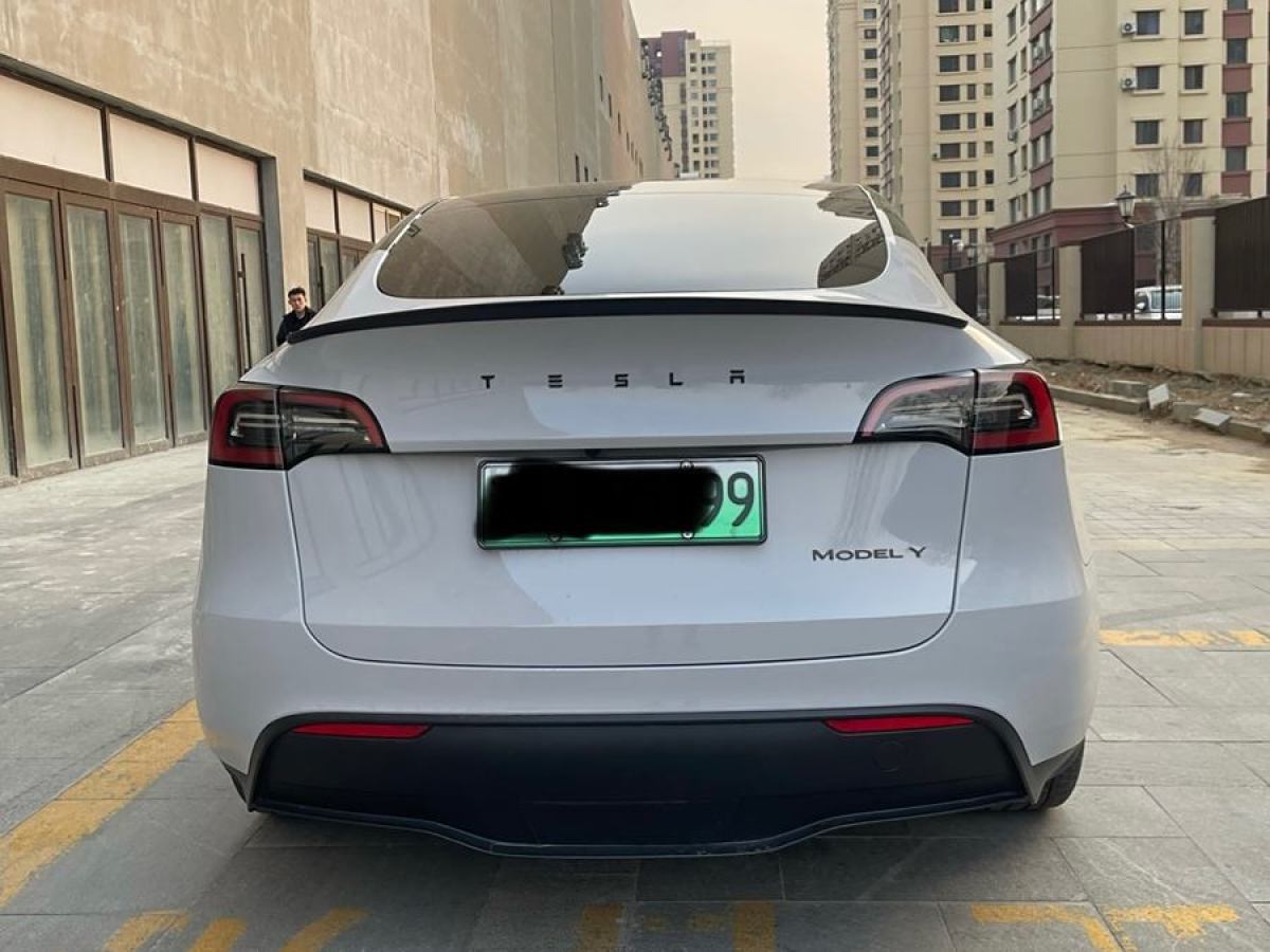 特斯拉 Model 3  2020款 改款 長續(xù)航后輪驅(qū)動版圖片