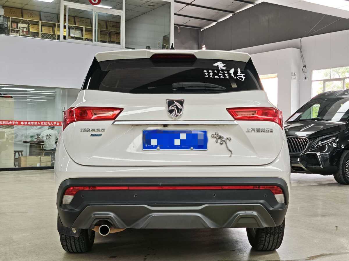 寶駿 530  2019款  1.5T CVT豪華型 7座 國VI圖片