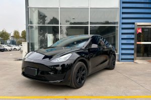 Model Y 特斯拉 焕新版 后轮驱动