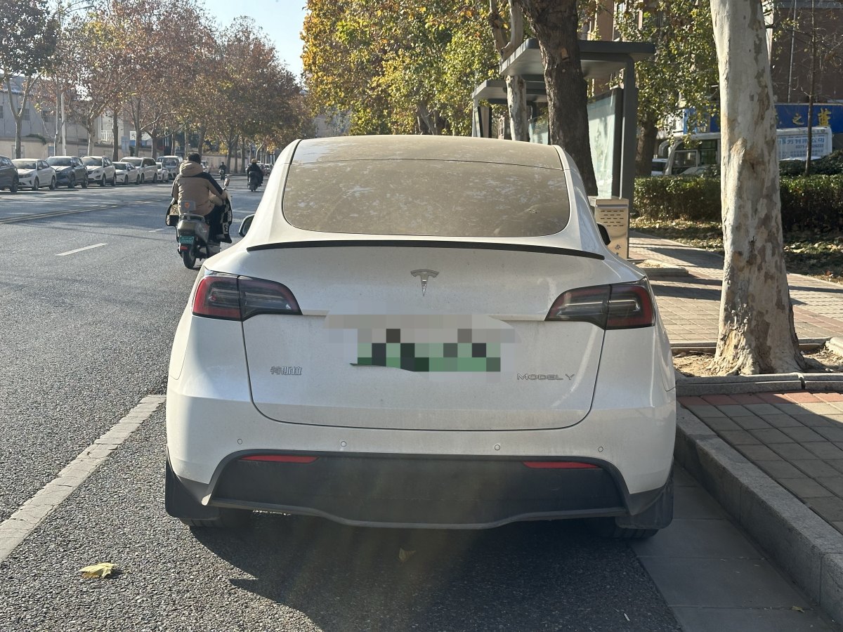 特斯拉 Model 3  2021款 改款 標準續(xù)航后驅升級版圖片