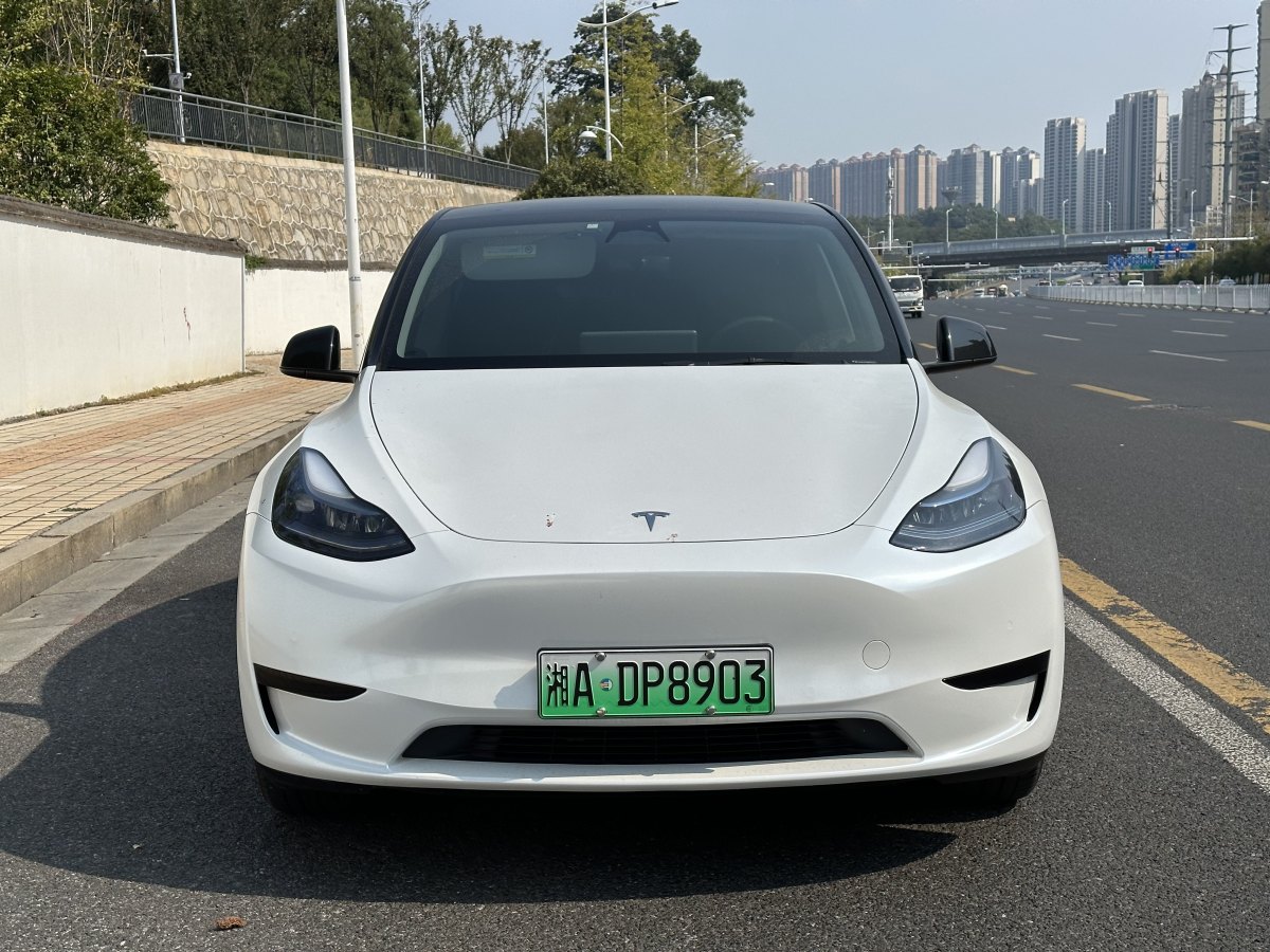 特斯拉 Model Y  2020款 改款 長續(xù)航后輪驅(qū)動版圖片