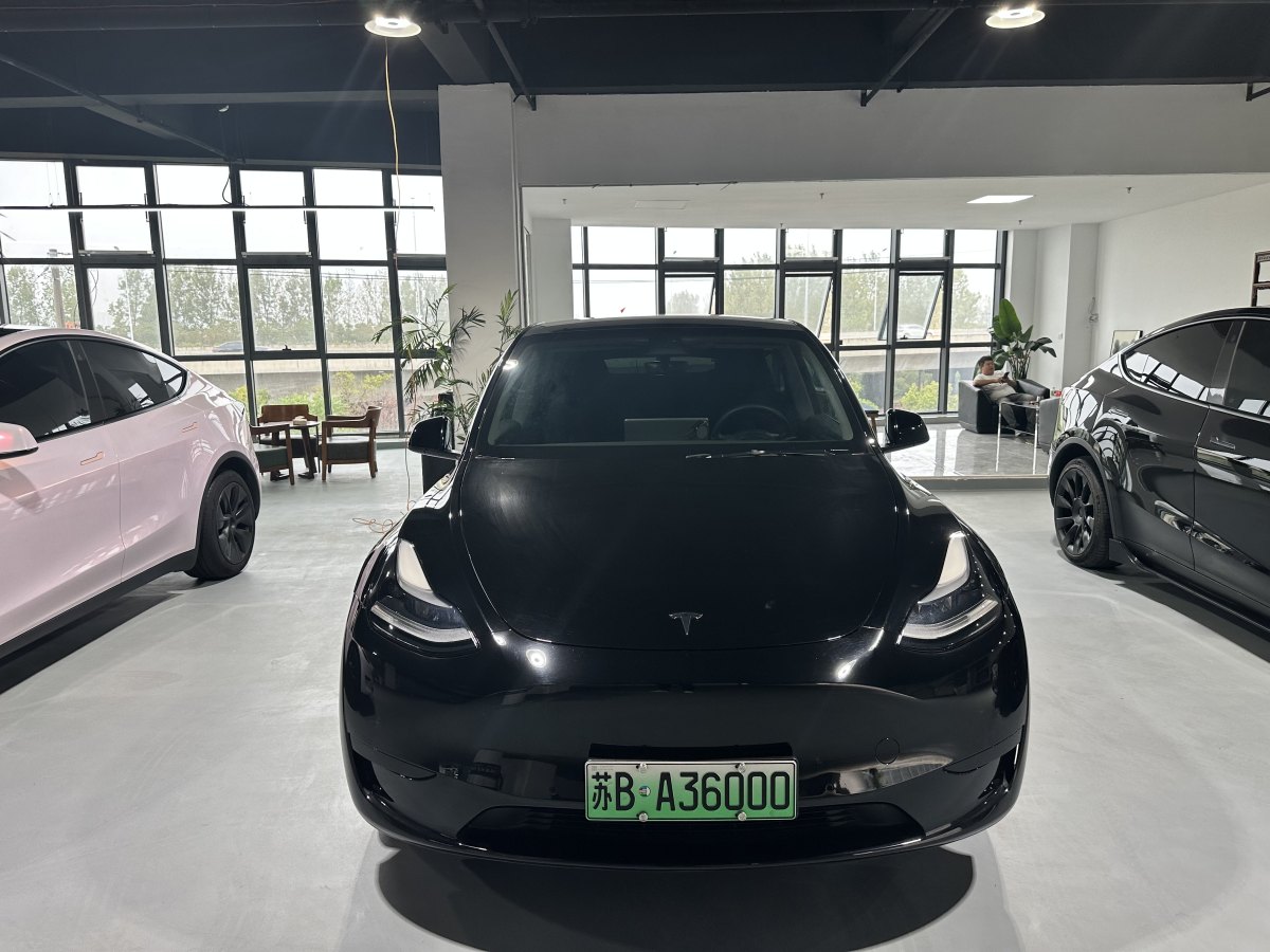 特斯拉 Model Y  2020款 改款 長續(xù)航后輪驅(qū)動版圖片